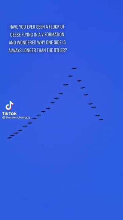 pretty cool fact if you ask me