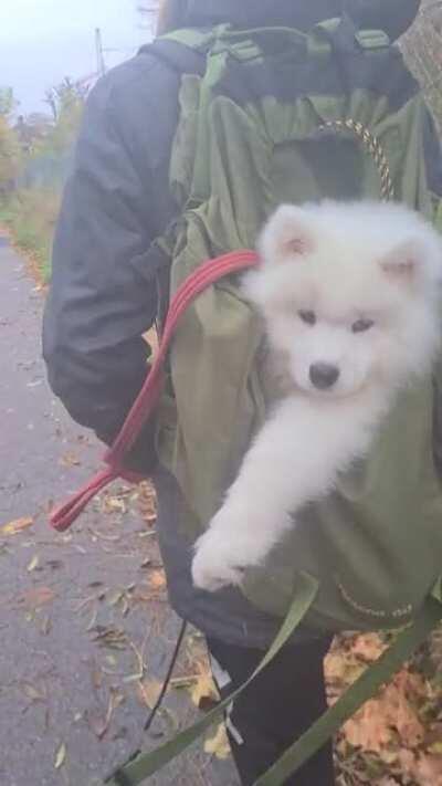 Enya loves to travel by backpack