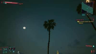 The palm trees are sentient and they seek vengeance