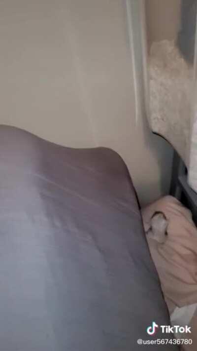 Thanks, I love hamster learning to fly.