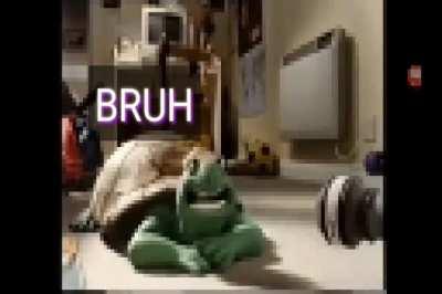 BRUH NIBBA PERSIAN TURTLE CAUGHT ON CAMERA