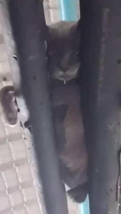 Sleeping on top of two pipes feels perfectly comfortable