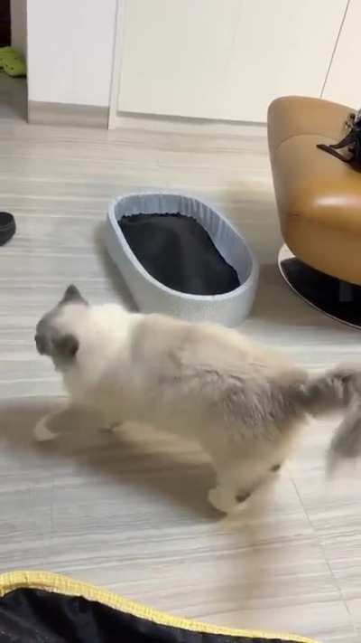 A perfectly planned attack