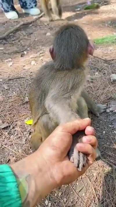 «Подожди, ты не моя мама»