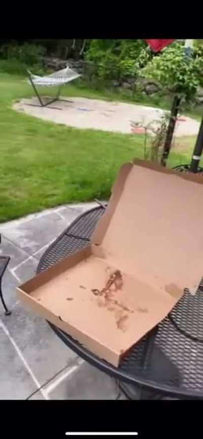 One finally got the pizza