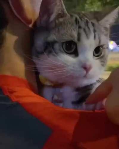 It's a big, scary world out there.