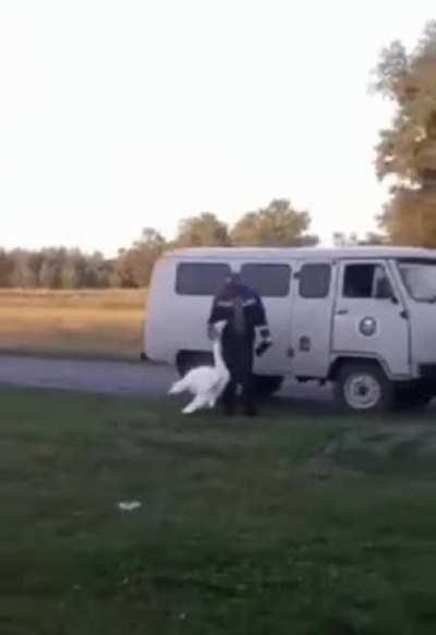 Getting greeted on the farm