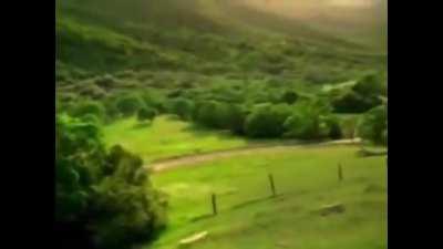 how it feels to chew five gum