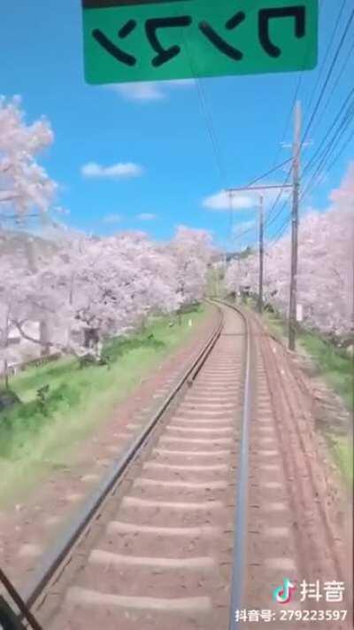 Train ride in Japan