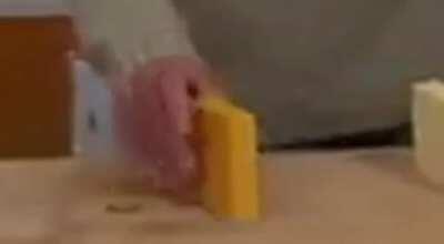 you: stuck in a random corner. the one asshole gryphon: