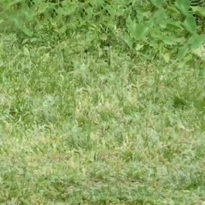 😞😞😭😭😭😢😢😢😢😖😖😣😣😣😔😤