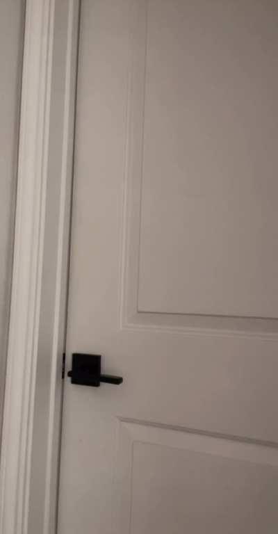 use it as your canvas [GIF]