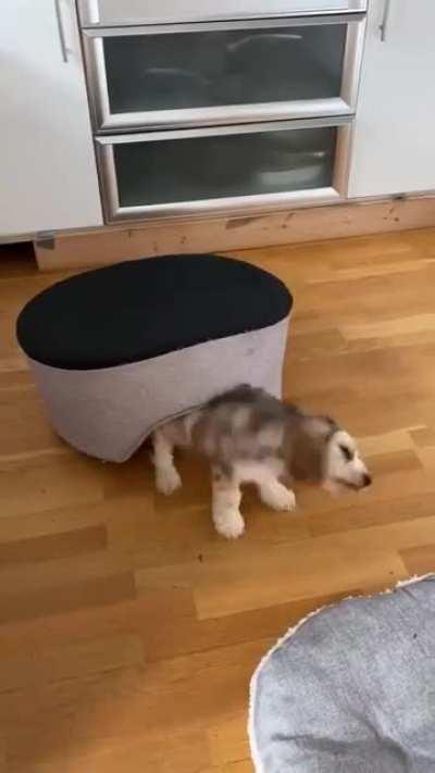 Loving this new bed!