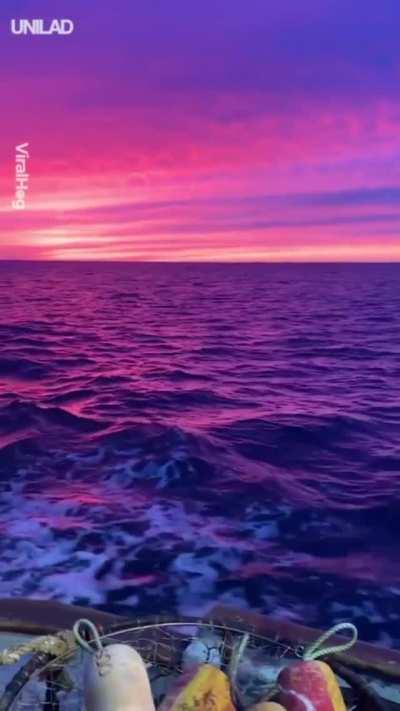 The pink pleasant lights of the sky reflecting the ocean