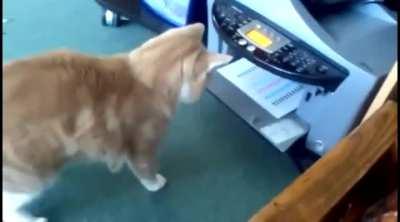 Trying to fight a piece of paper