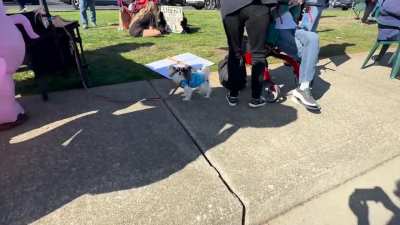 Peaceful Fucking Protest in Bandon, OR