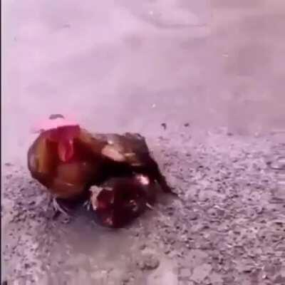 We all want to be comforted