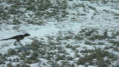 Mother Nanuqsaurus hunting to feed her young.