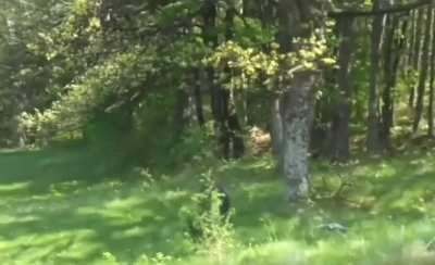 Нормален ден в Пазарджик