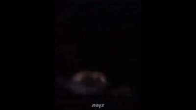 We bitch and we fight MY BALLS 😭