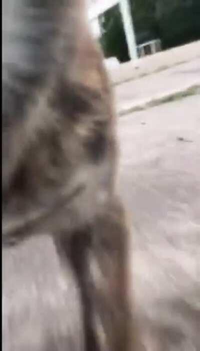 Trying to film yourself skating.