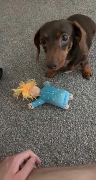 Just look, don’t touch