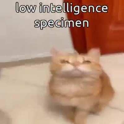 Because it was requested