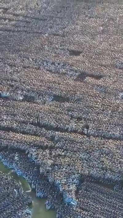 Chinese bike graveyard