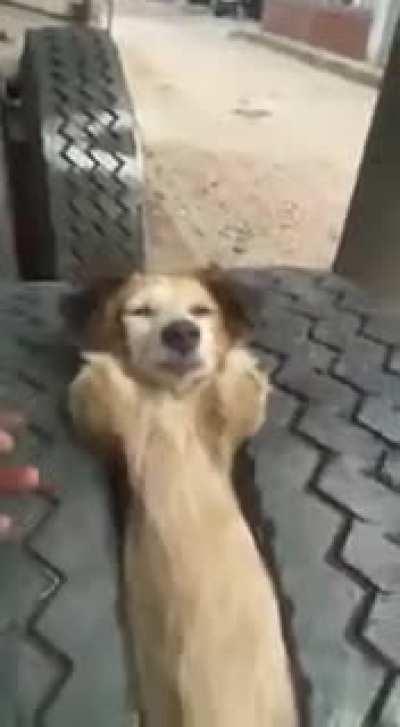 Let sleeping dogs lie