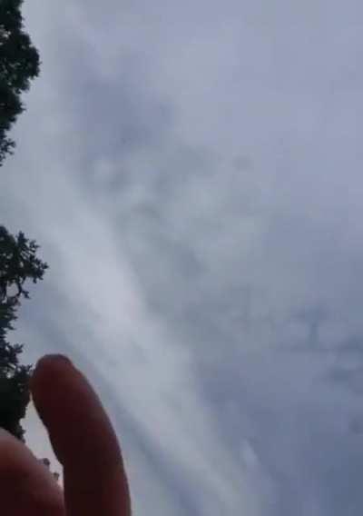 Real funny horse ...