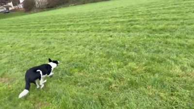 Genetics are SO COOL