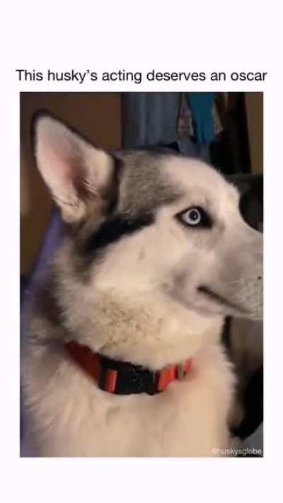 If I can't see her, she can't see me