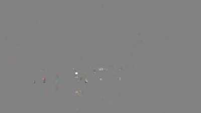 Chinese and their One Belt One Road friends  