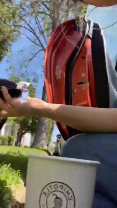 Inde Navarrette [Superman & Lois]