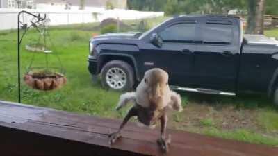 PSA: Our comrade has discovered a way to reprogram drones using 90s hip hop radio frequencies.