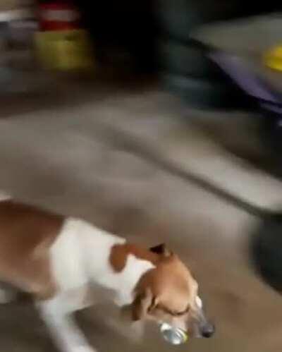 Vai lá, pega uma cerveja pro papai!