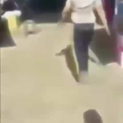 Adm quando sai de casa