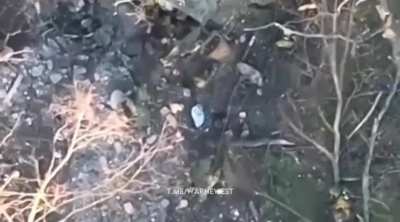 Brutal kills - 2024 summer | Ukraine POV | Compilation