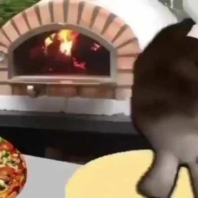 Pizza cat makes you a pizza for free (50$ for the free pizza)