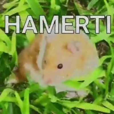 Hamerti