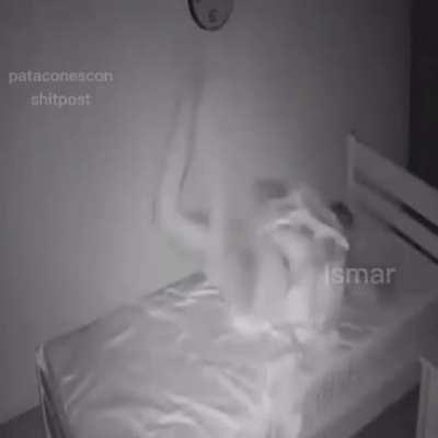 Video captado de cristianghost antes de ser follado por un fantasma 😎