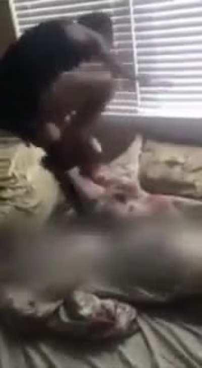 Lesbian caught with dude by gf💥