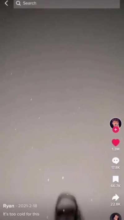 The Journey Of The Shoe