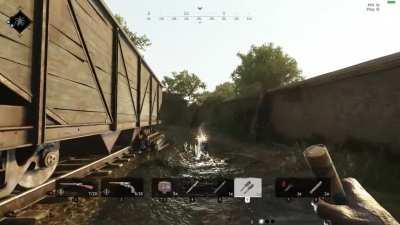 This dog just had a stroke