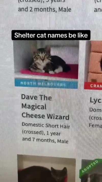 WHICH ONE OF YOU POLYMORPHED DAVE?!?!?!