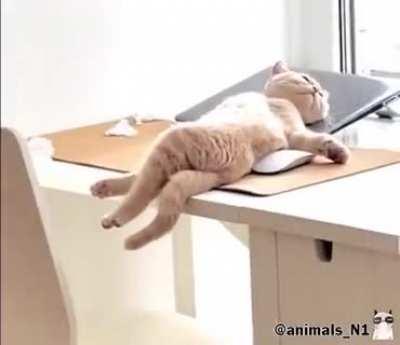 And how is your hard working day