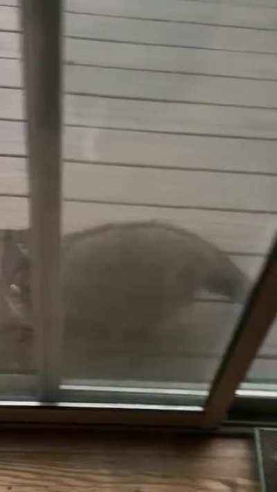 Had some visitors this morning