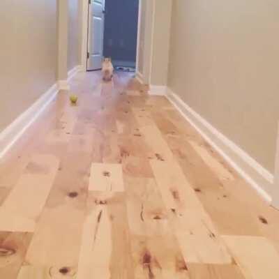 Fetch.exe has stopped responding