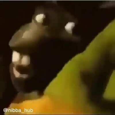 orochinho - Video #1814