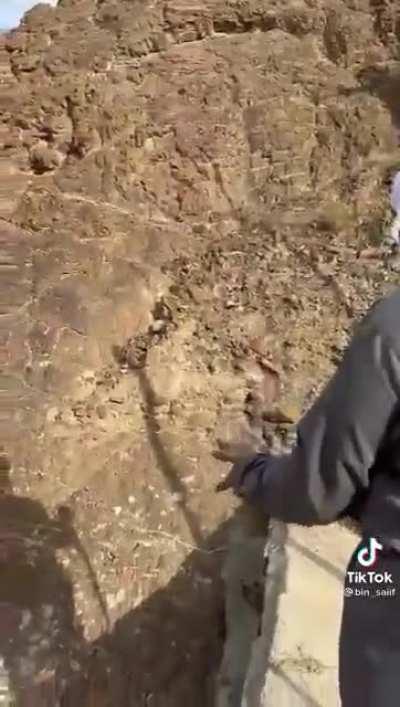 Man climbing like he's walking